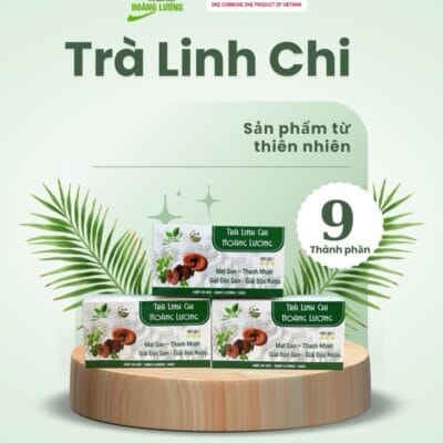 20 gói lọc trà Linh chi 8 vị - Mát Gan - Thanh Nhiệt