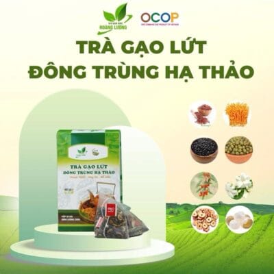 20 Gói Trà Túi Lọc Gạo Lứt Đông Trùng Hạ Thảo ( 600g  x 9 thành phần )