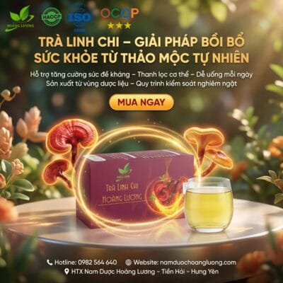 Trà Linh Chi Hoàng Lương OCOP ( 30 túi lọc x 4g )