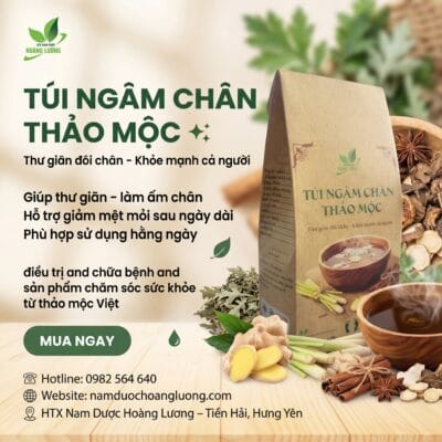 Túi Ngâm Chân Thảo Mộc ( hộp 30 túi x 5g )